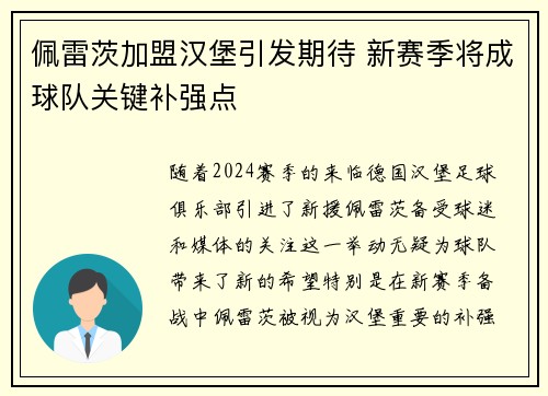 佩雷茨加盟汉堡引发期待 新赛季将成球队关键补强点