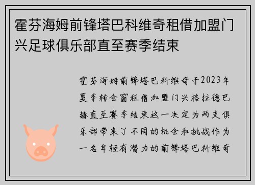 霍芬海姆前锋塔巴科维奇租借加盟门兴足球俱乐部直至赛季结束